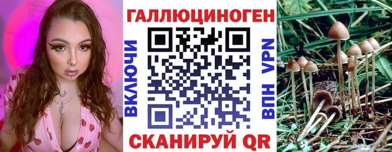Купить где  Покачи  Галлюциногенные грибы мицелий 